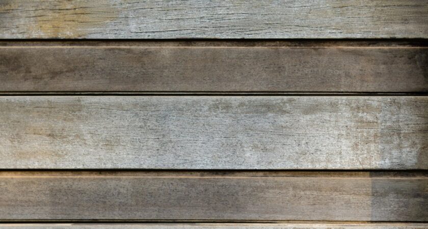 Bioaktywne panele ścienne z grzybni i biocharu – akustyka, filtracja VOC i regulacja wilgoci w jednym